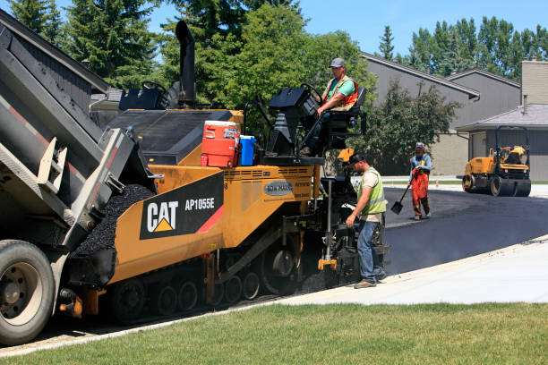 Best Professional Driveway Pavers  in Lake Fenton, MI